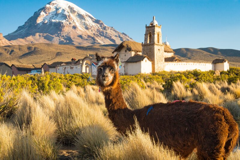 production services in Bolivia